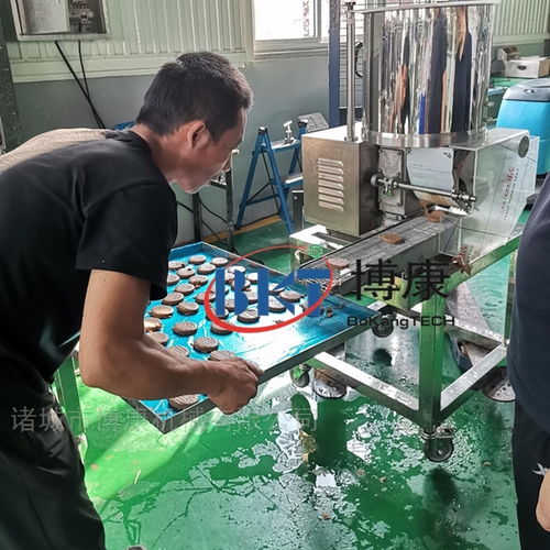 全自動(dòng)寵物餅干成型機(jī) 食品機(jī)械設(shè)備網(wǎng)