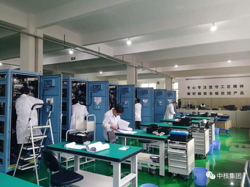 歷程丨龍鱗誕生 飛奪制高點 三十年躋身世界先進